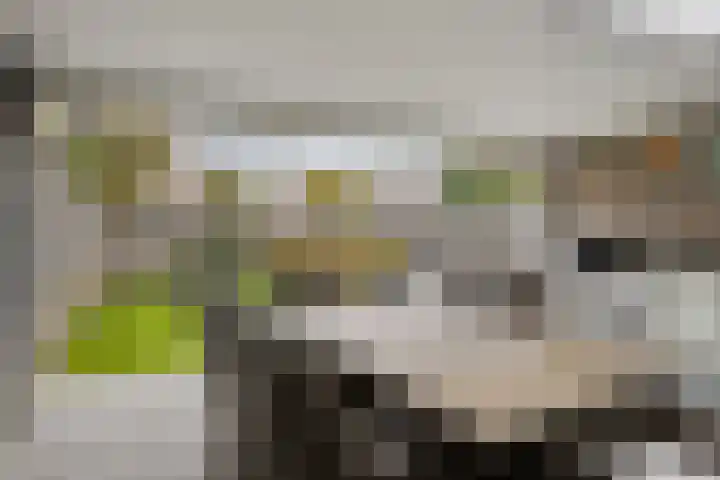 Rijsbergenstraat 9 Tilburg thumbnail 36