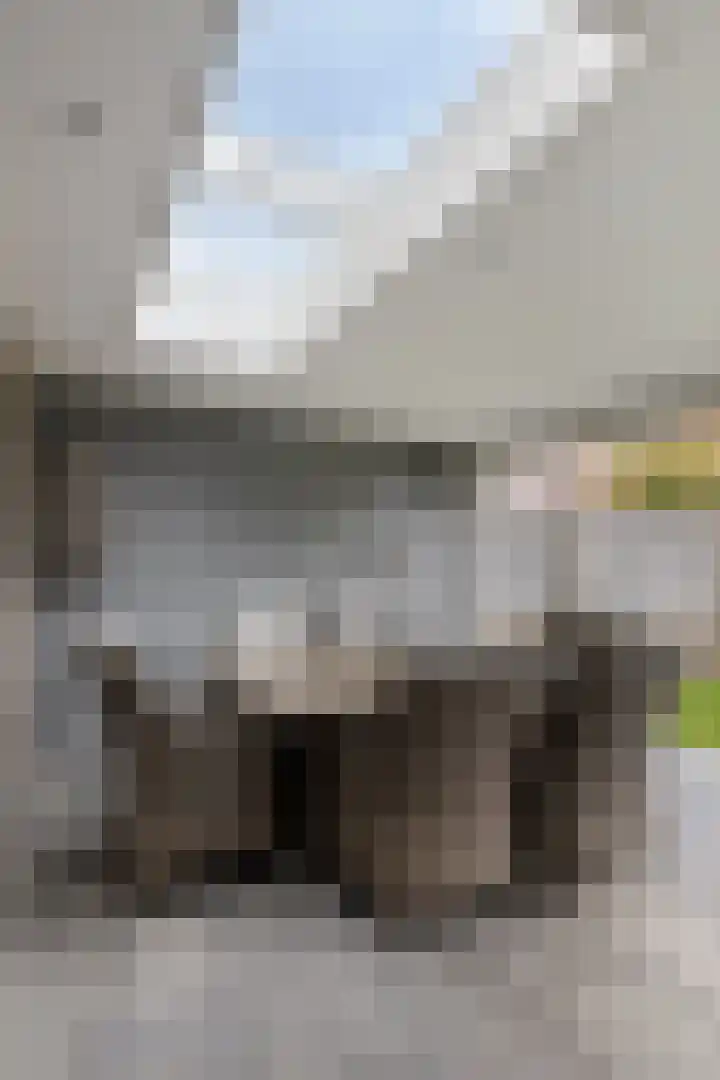 Rijsbergenstraat 9 Tilburg thumbnail 37