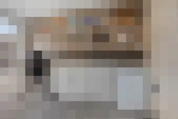 Rijsbergenstraat 9 Tilburg thumbnail 39