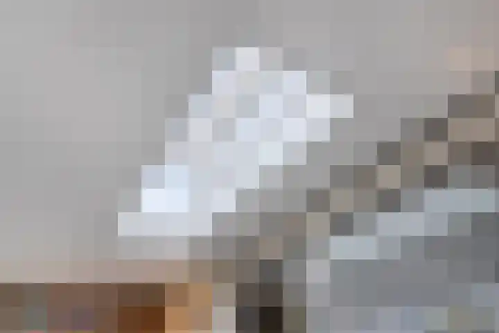 Rijsbergenstraat 9 Tilburg thumbnail 40