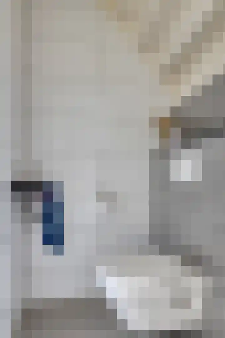 Rijsbergenstraat 9 Tilburg thumbnail 5