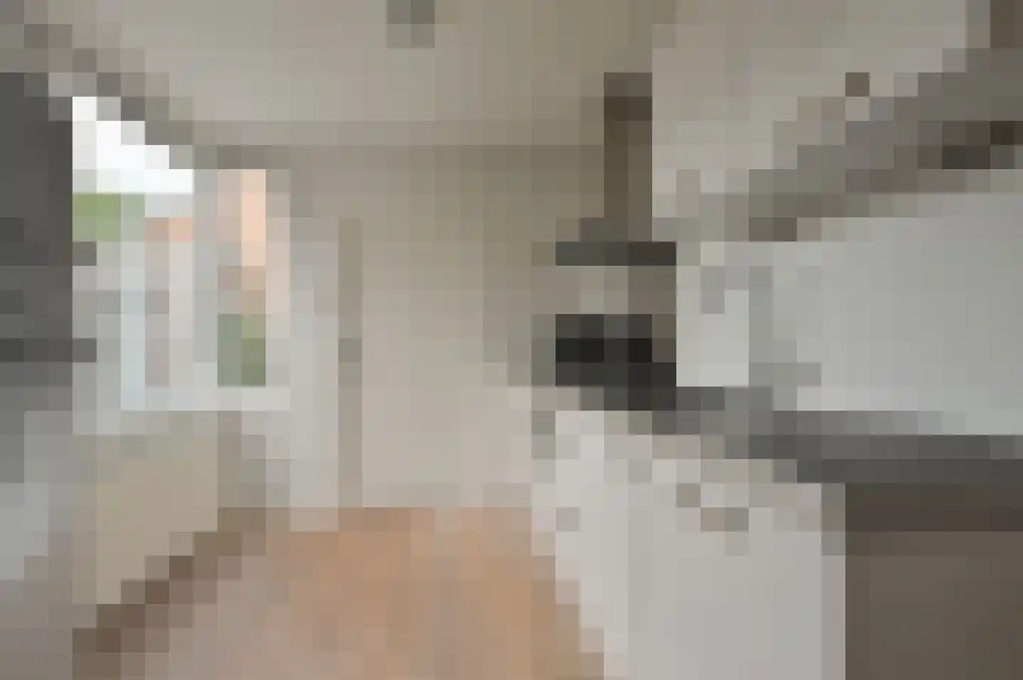 Rijsbergenweg 44 Huizen thumbnail 10