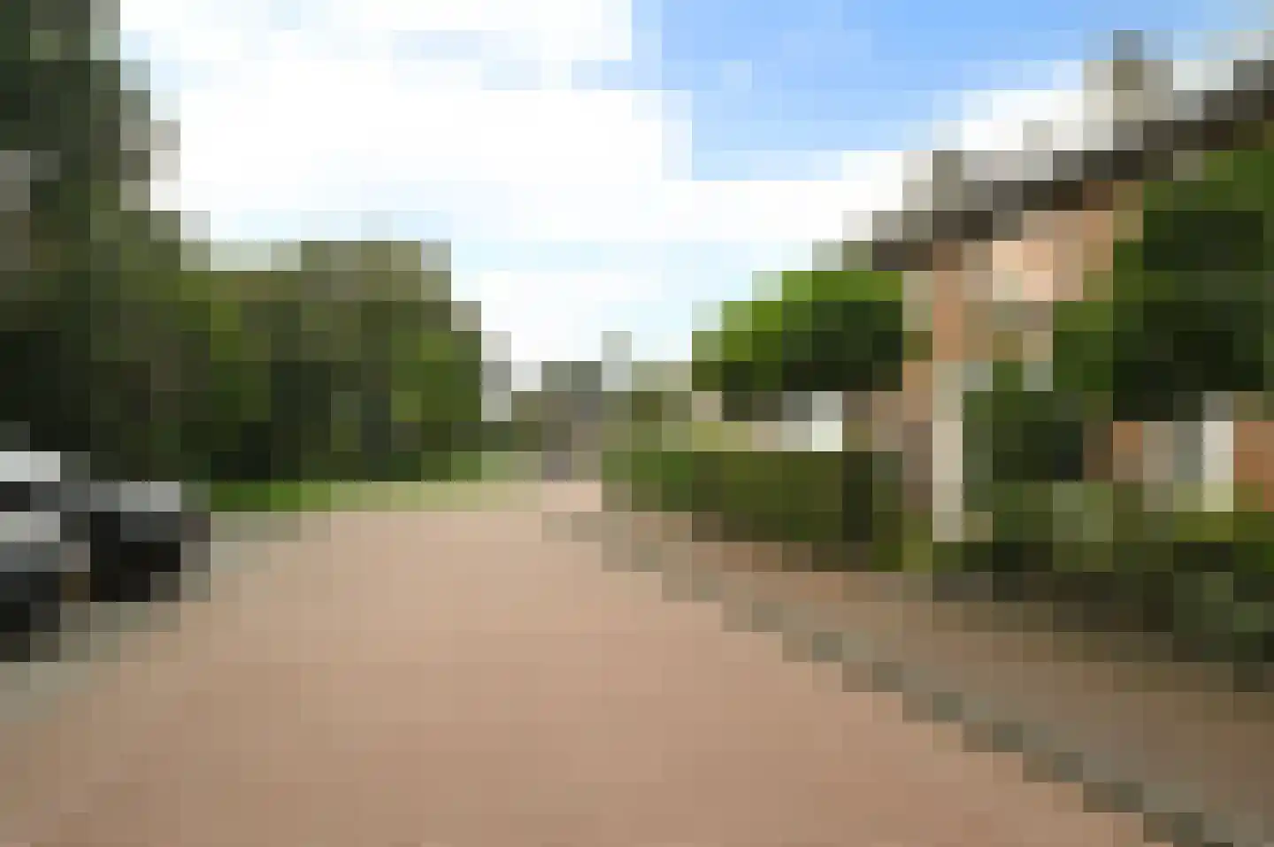 Rijsbergenweg 44 Huizen thumbnail 31