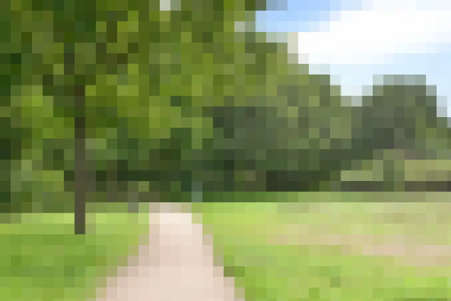 Rijsbergenweg 44 Huizen thumbnail 34