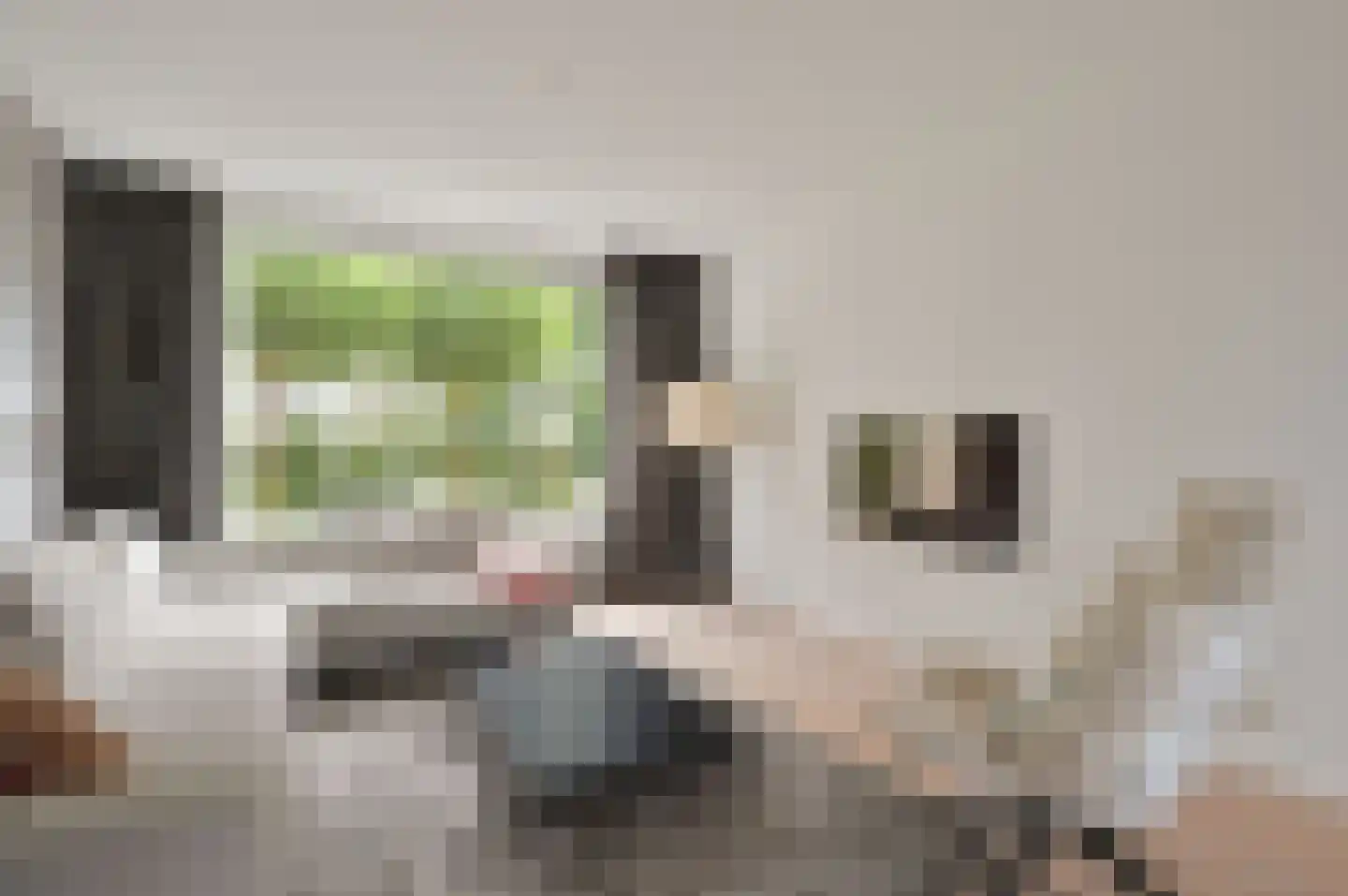 Rijsbergenweg 44 Huizen thumbnail 5