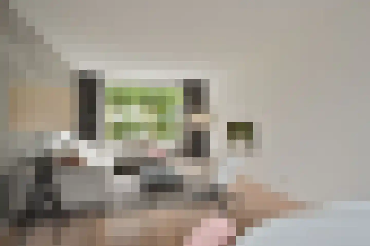 Rijsbergenweg 44 Huizen thumbnail 6