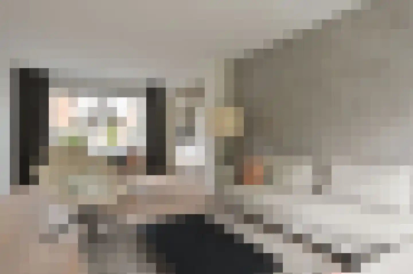 Rijsbergenweg 44 Huizen thumbnail 7