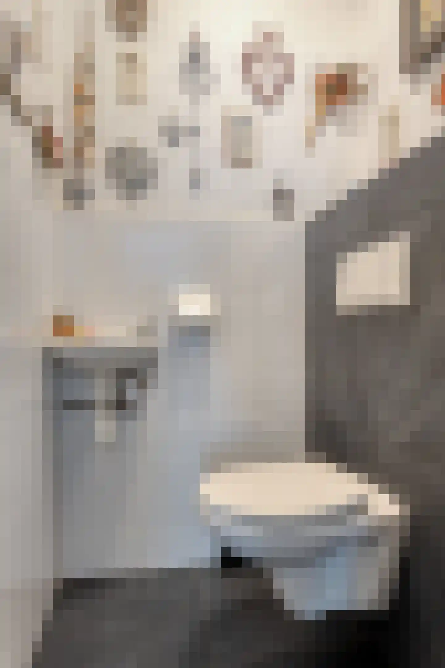 Rijsbergsebaan 13 Breda thumbnail 15