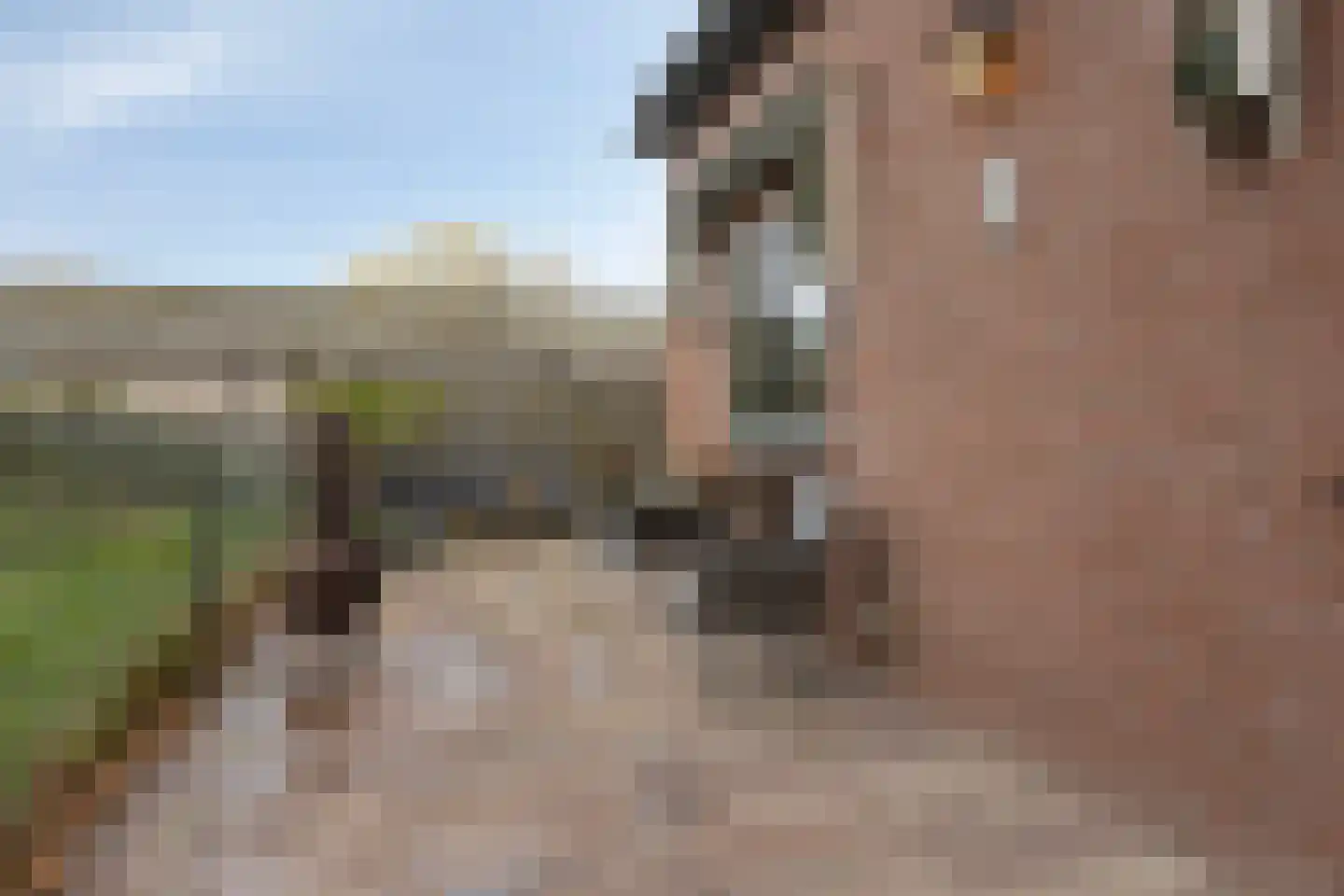 Rijsbergsebaan 13 Breda thumbnail 26
