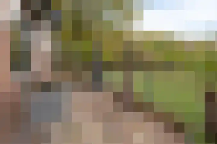 Rijsbergsebaan 13 Breda thumbnail 27