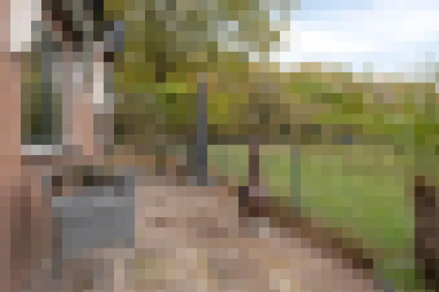 Rijsbergsebaan 13 Breda thumbnail 27