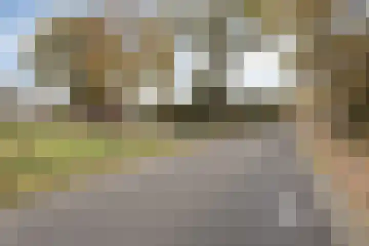 Rijsbergsebaan 13 Breda thumbnail 30