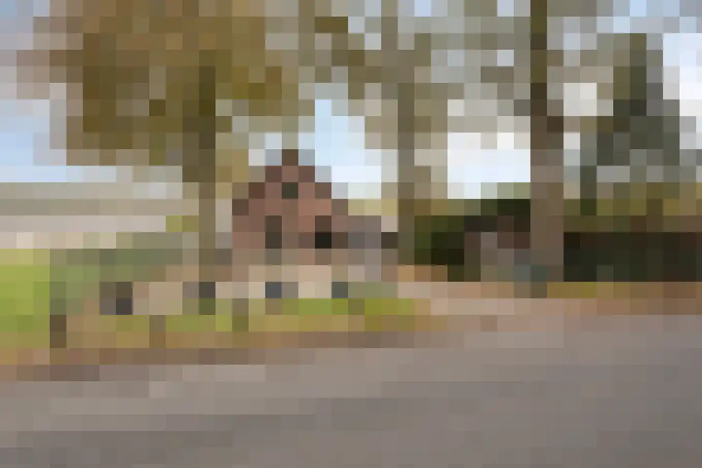 Rijsbergsebaan 13 Breda thumbnail 6