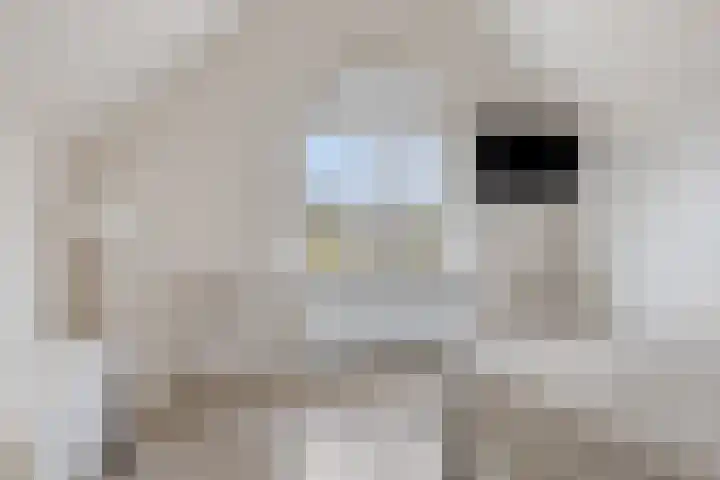 Rijsbergseweg 356 Breda thumbnail 33