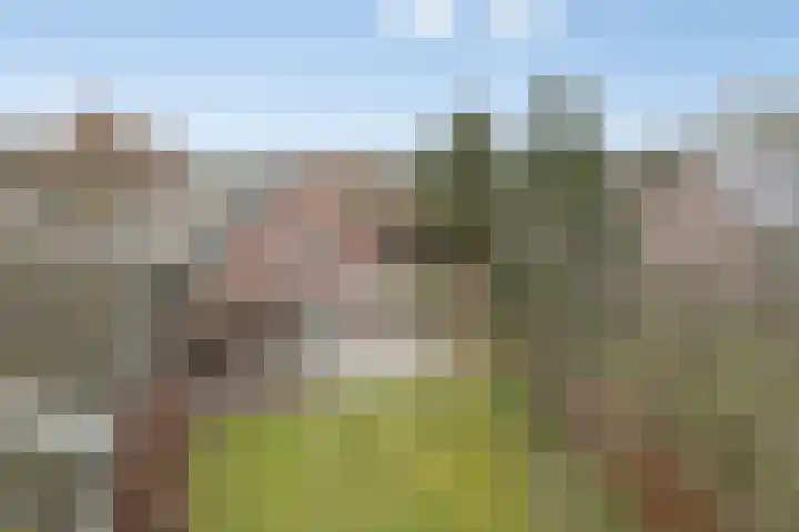 Rijsbergseweg 356 Breda thumbnail 37