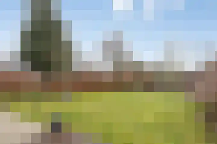 Rijsbergseweg 356 Breda thumbnail 39