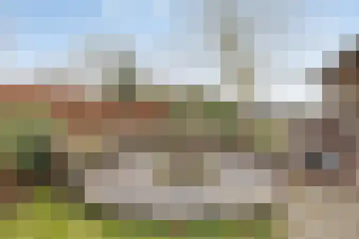 Rijsbergseweg 356 Breda thumbnail 40
