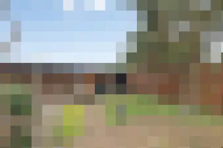 Rijsbergseweg 356 Breda thumbnail 42