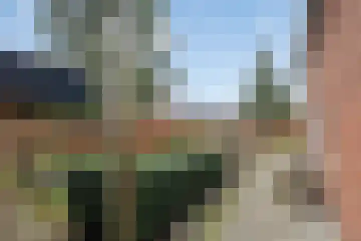 Rijsbergseweg 356 Breda thumbnail 43