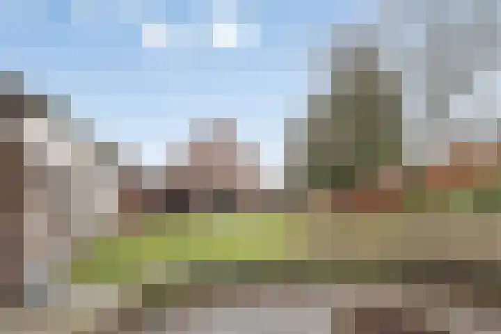 Rijsbergseweg 356 Breda thumbnail 45
