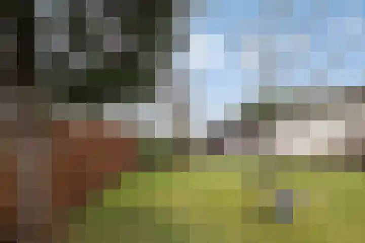 Rijsbergseweg 356 Breda thumbnail 46
