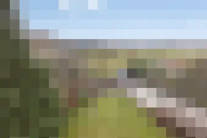 Rijsbergseweg 356 Breda thumbnail 51