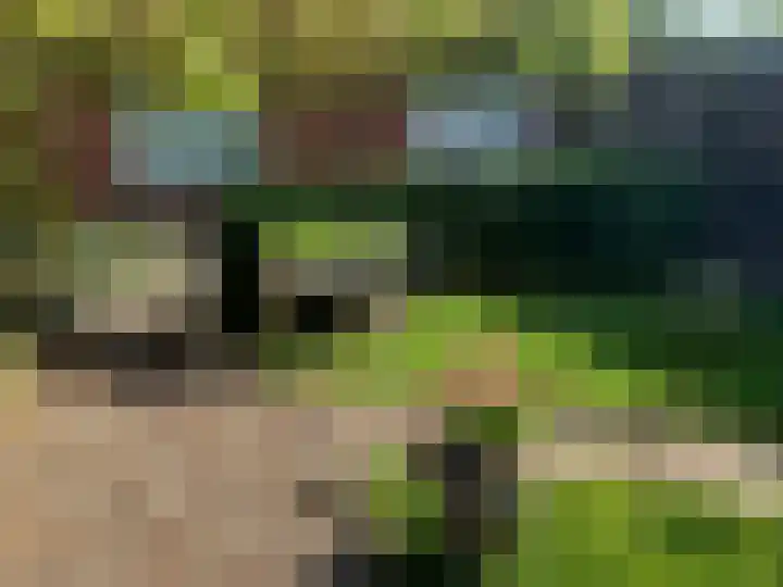 Rijsbergseweg 356 Breda thumbnail 54