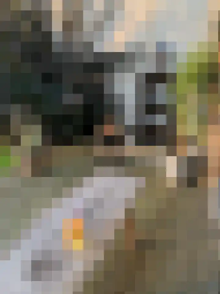 Rijsbergseweg 356 Breda thumbnail 56