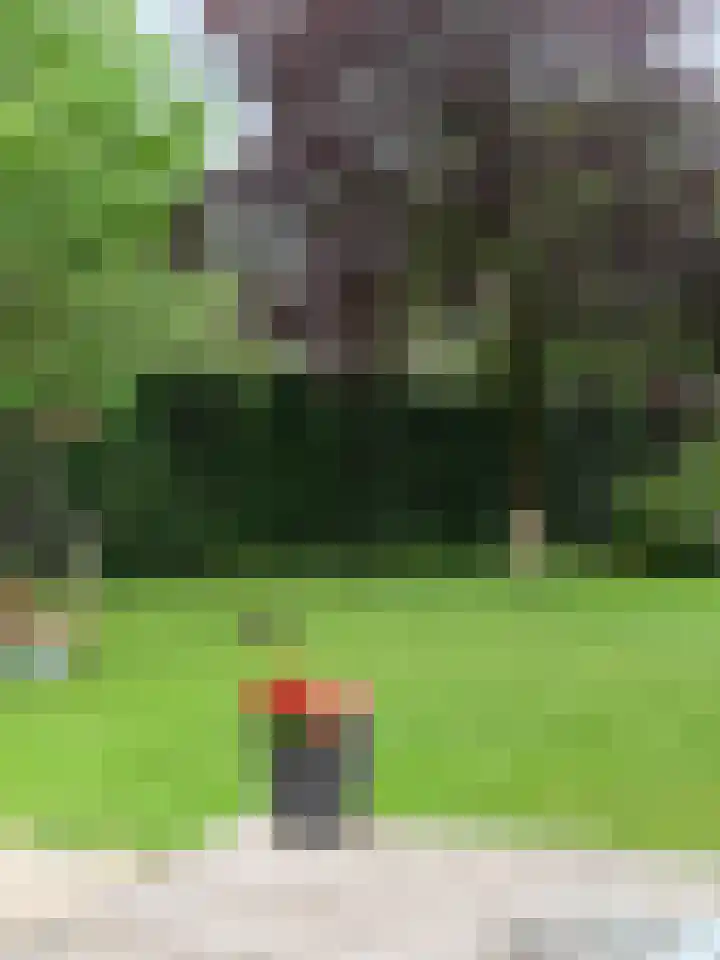 Rijsbergseweg 356 Breda thumbnail 57