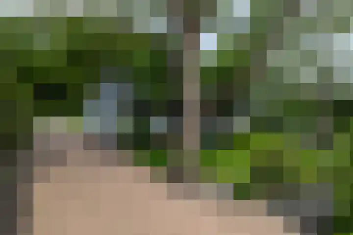 Rijsbergseweg 468 Breda thumbnail 28