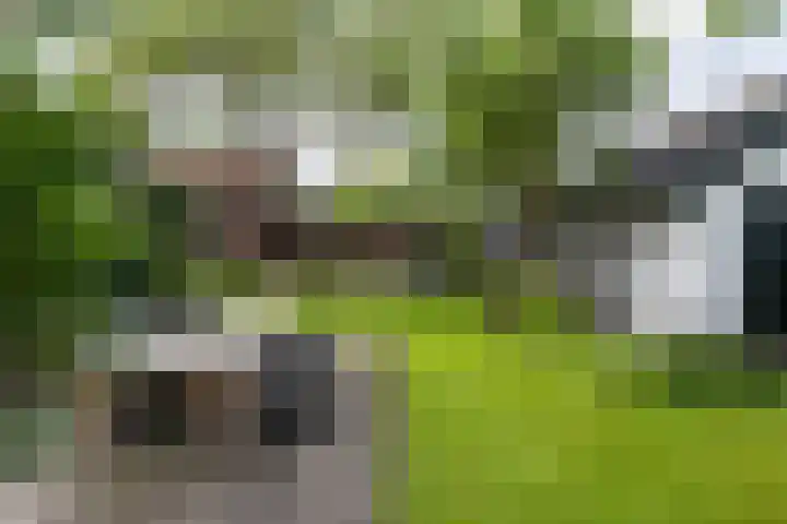 Rijsbergseweg 468 Breda thumbnail 30