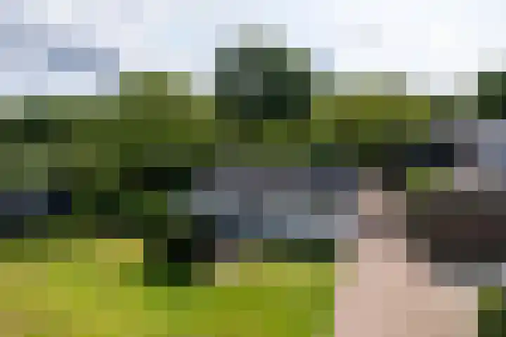 Rijsbergseweg 468 Breda thumbnail 31