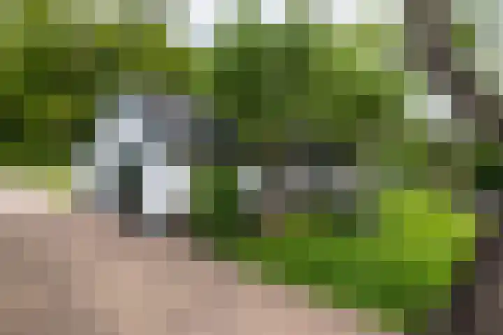 Rijsbergseweg 468 Breda thumbnail 32