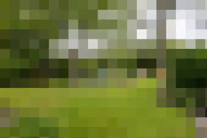 Rijsbergseweg 468 Breda thumbnail 33