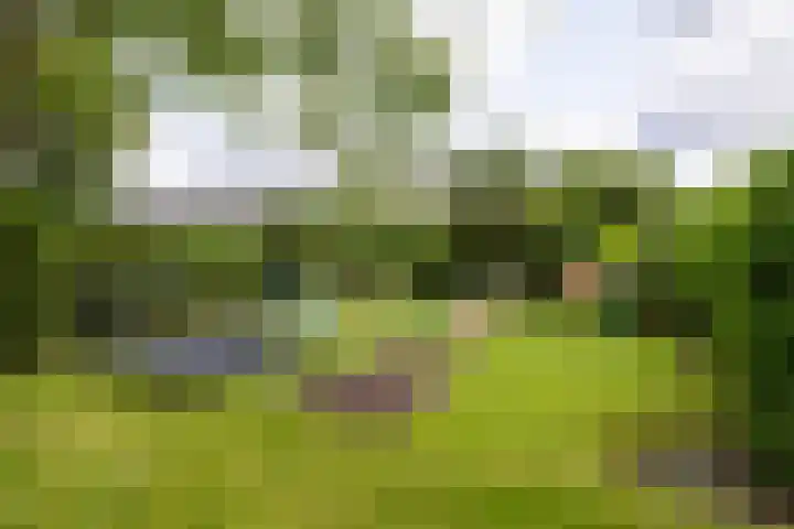 Rijsbergseweg 468 Breda thumbnail 34
