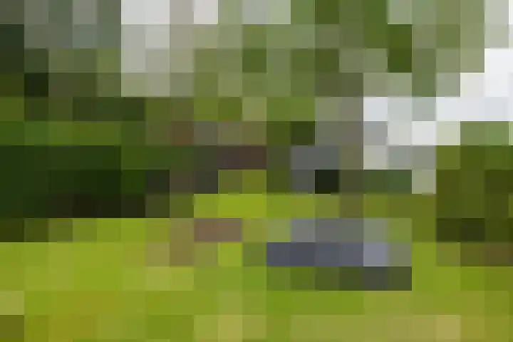 Rijsbergseweg 468 Breda thumbnail 35
