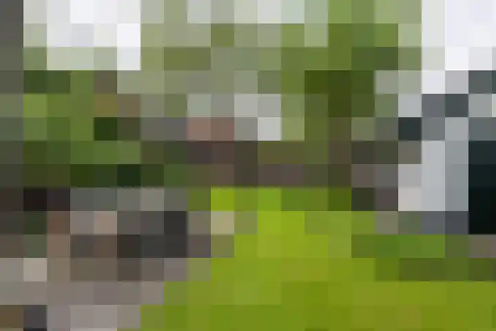 Rijsbergseweg 468 Breda thumbnail 36