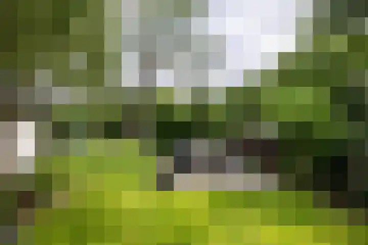 Rijsbergseweg 468 Breda thumbnail 37
