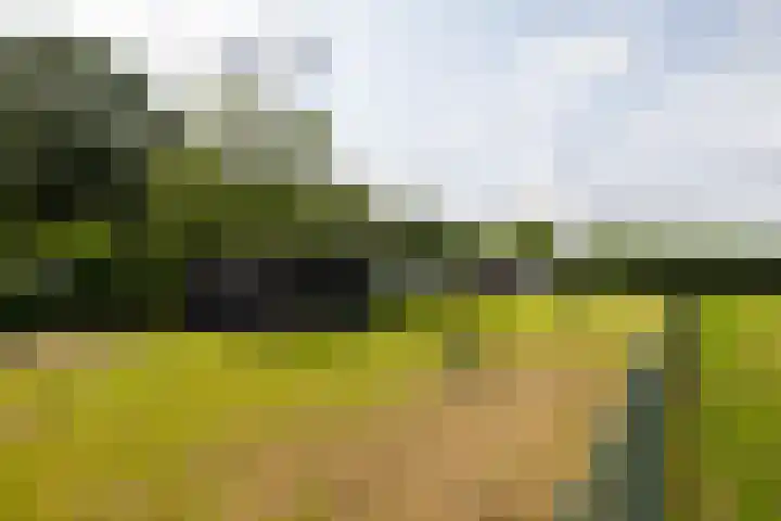 Rijsbergseweg 468 Breda thumbnail 41