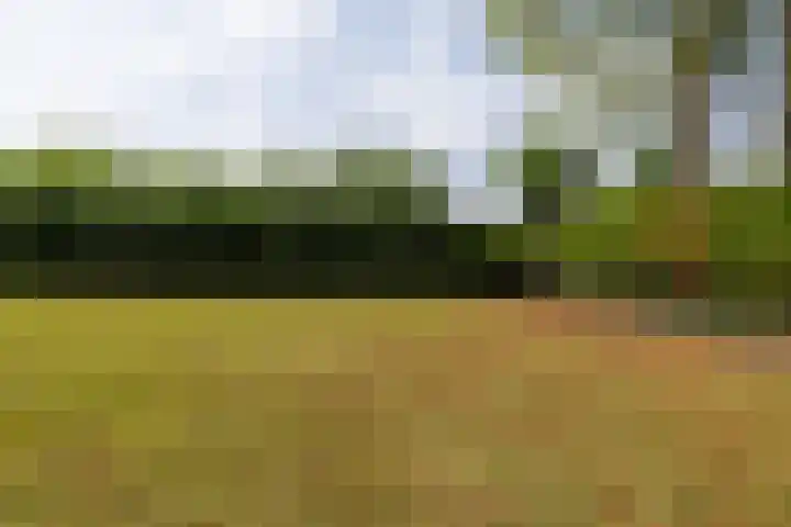 Rijsbergseweg 468 Breda thumbnail 42