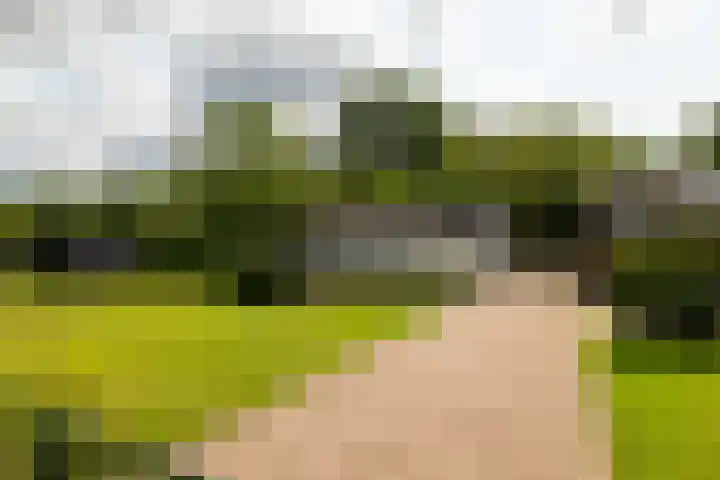 Rijsbergseweg 468 Breda thumbnail 43