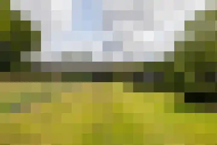 Rijsbergseweg 468 Breda thumbnail 44