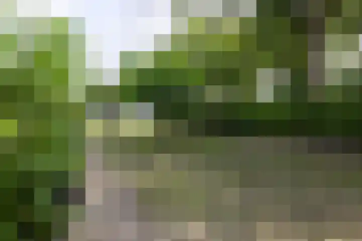 Rijsbergseweg 468 Breda thumbnail 45