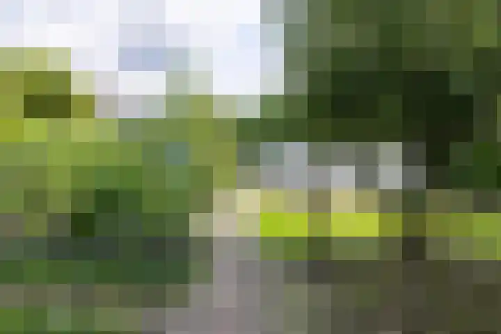 Rijsbergseweg 468 Breda thumbnail 46