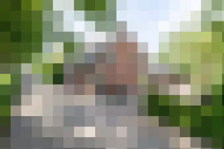 Rijsbergseweg 468 Breda thumbnail 48