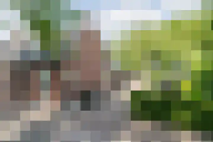 Rijsbergseweg 468 Breda thumbnail 51