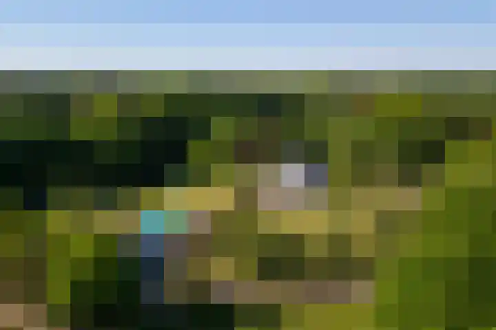 Rijsbergseweg 545 Breda thumbnail 7