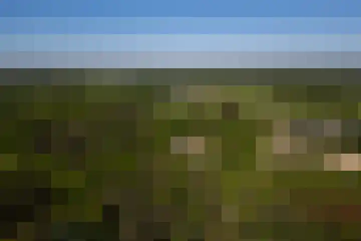 Rijsbergseweg 545 Breda thumbnail 71