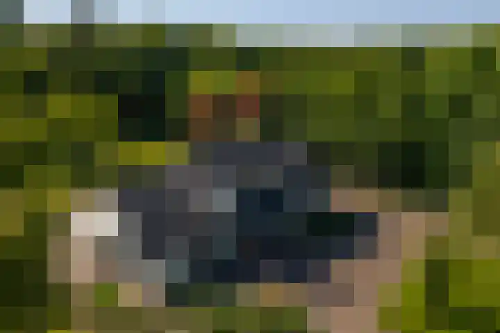 Rijsbergseweg 545 Breda thumbnail 8