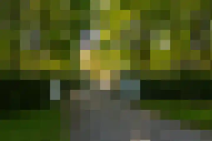 Rijsbergseweg 545 Breda thumbnail 9